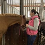 Sandra Heider - Praxis Kurs Ausbildung "Healing Touch"