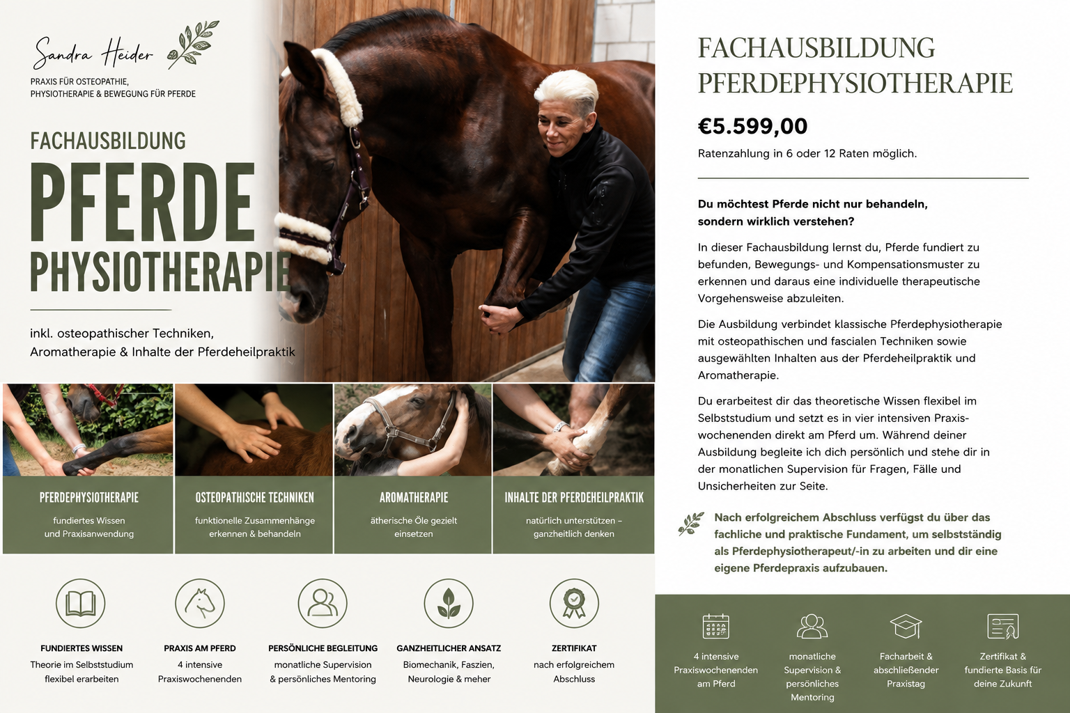 Fachausbildung Pferdephysiotherapie