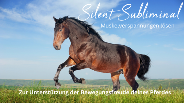 Muskelverspannungen lösen - mit unserem Silent Subliminal speziell für Pferde mit einem hohen Muskeltonus