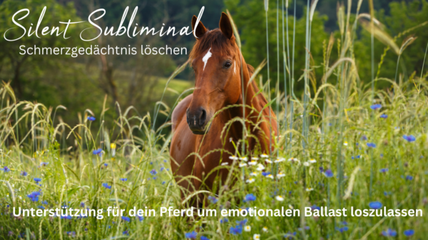 Befreiung für emotionalen Balast mit Silent Subliminals - Schmerzgedächtnis löschen