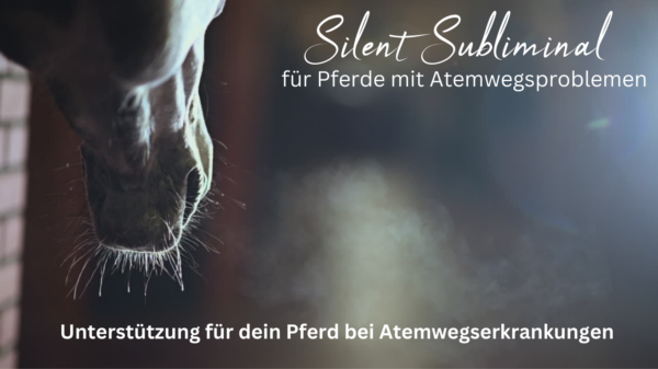 Atemwegsregeneration – mit unserem Silent Subliminal speziell für Pferde mit Atemwegsproblemen