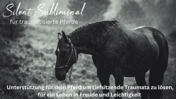 Traumaauflösung – mit unserem Silent Subliminal speziell für traumatisierte Pferde.