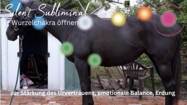 Wurzelchakra Öffnung – mit unserem Silent Subliminal speziell für dein Pferd