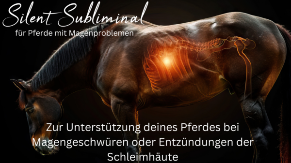 Silent Subliminal - Unterstützung für die Magenregeneration von Pferden