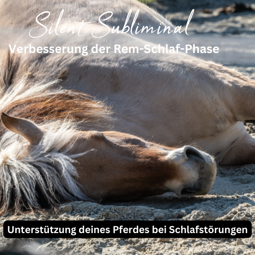 Silent Subliminal - zur Verbesserung der Rem-Schlaf-Phase