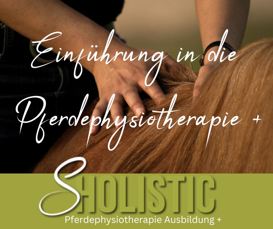 Blue Orange Aesthetic Daisy Flower Thankyou for Your Order Card (Facebook-Post) (18)