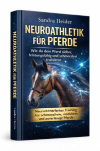 Neuroathletik für Pferde