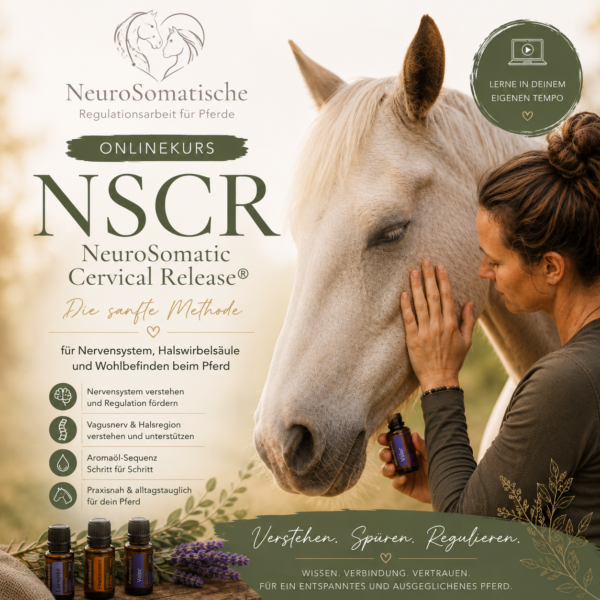 NSCR – NeuroSomatic Cervical Release® online Kurs
