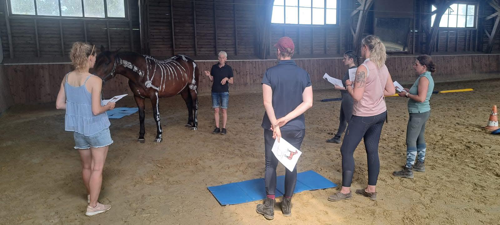 Sandra Heider mit Pferd